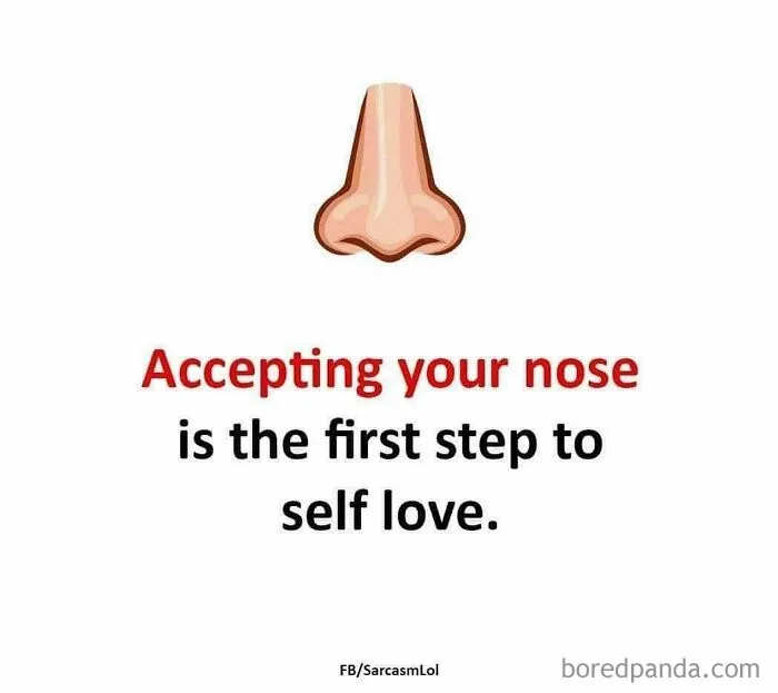 Sarcastic meme about accepting your nose as a step to self-love, featuring a cartoon nose illustration.