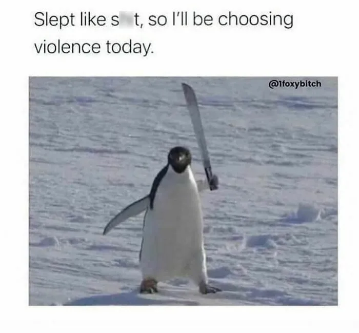Penguin holding a large knife on snowy ground with text about choosing violence after a bad sleep, spicy memes humor.
