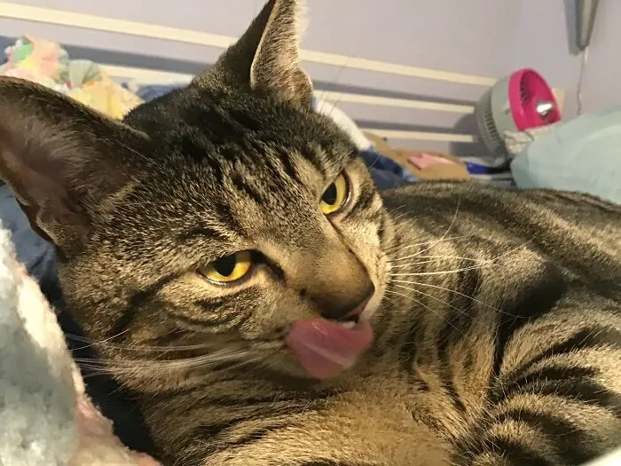 My Precious Child