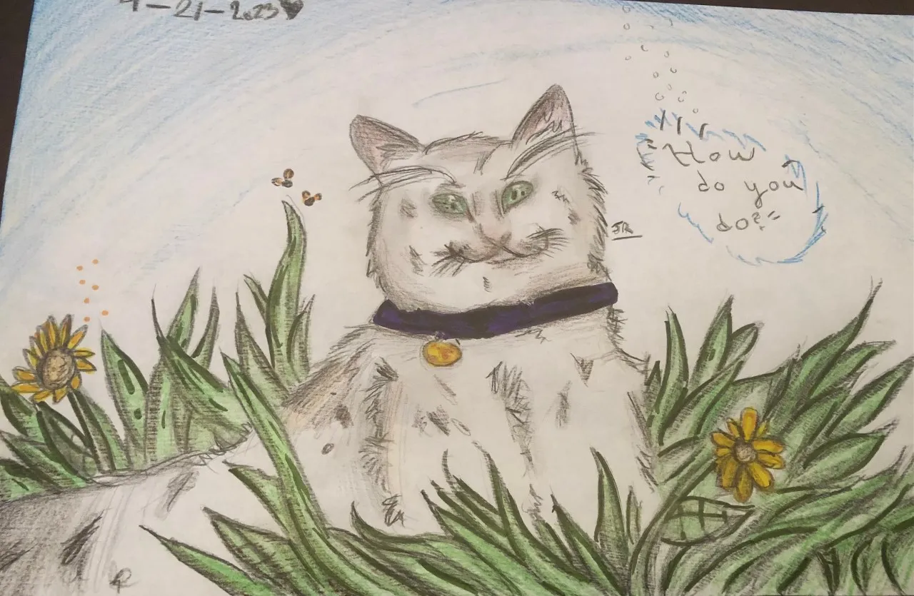 Draw A Cat And Share The Result!