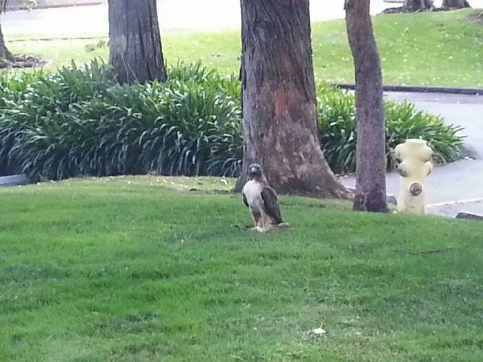 Caught Outside Office Window 2013 San Franciso
