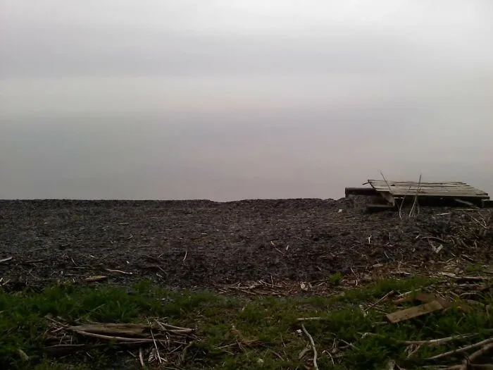 A Foggy Morning On A Lake Shore, Where Water Meets Sky