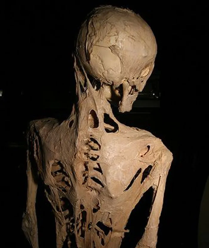 30 “Unfun” Facts That Are Both Fascinating And Terrifying