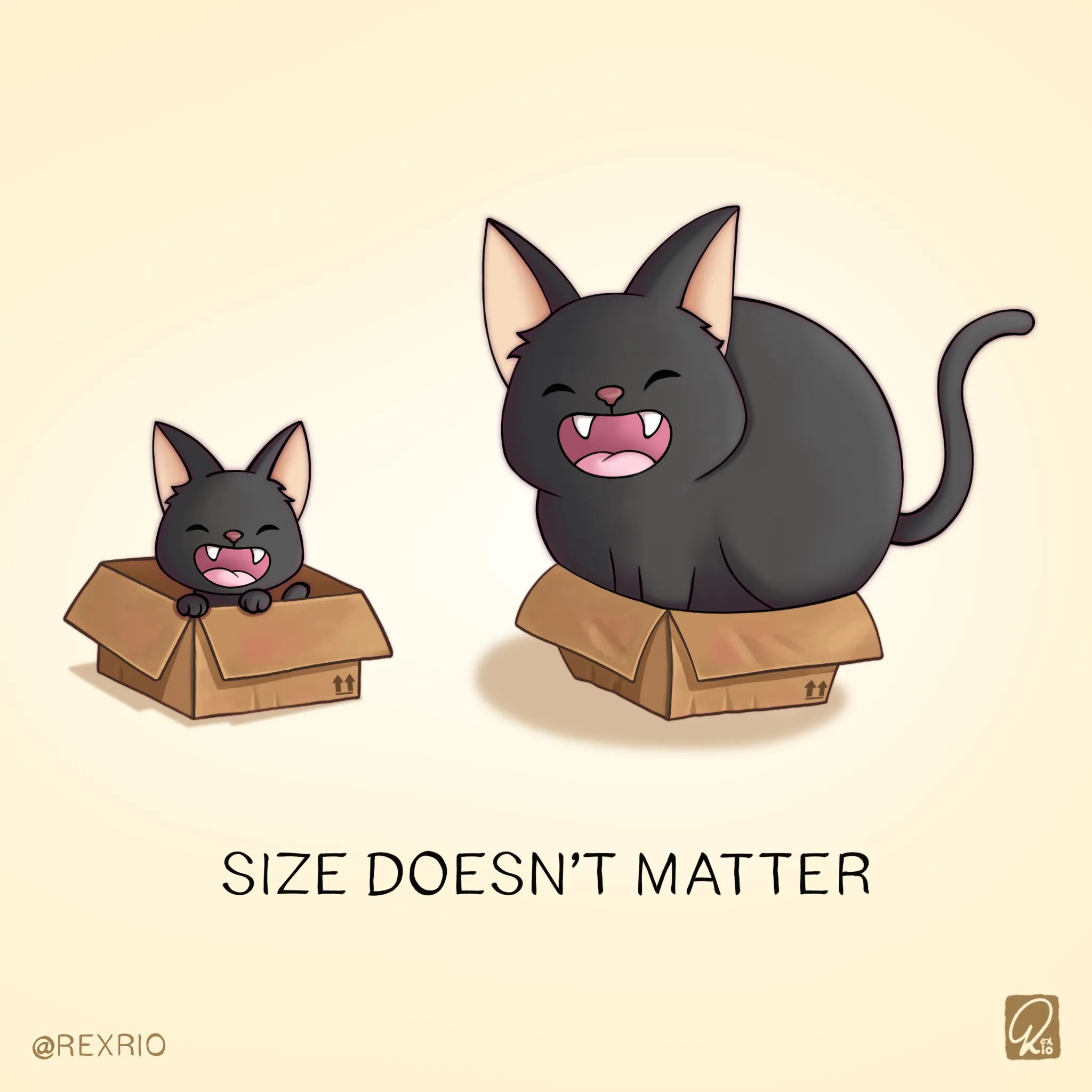 Cats And Box