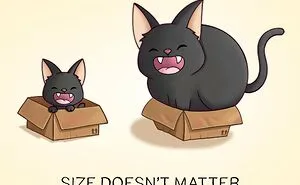 Cats And Box