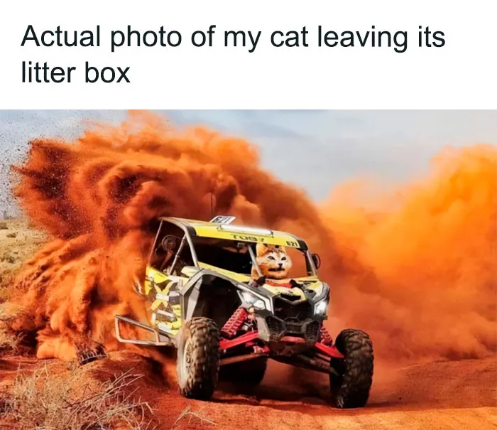 43 Funny Animal Memes, As Shared By This Facebook Page