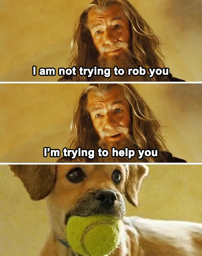 43 Funny Animal Memes, As Shared By This Facebook Page
