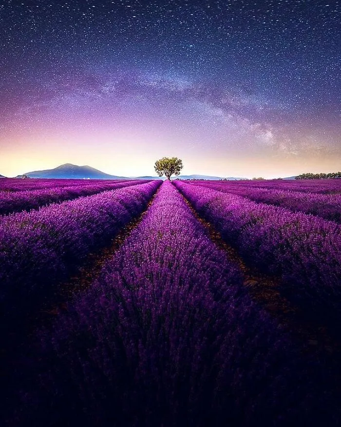 I Create My Dream-Like World With Photography And Photoshop (68 Pics)