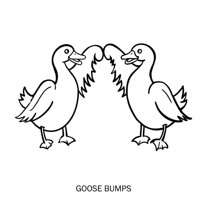 Goose Bumps