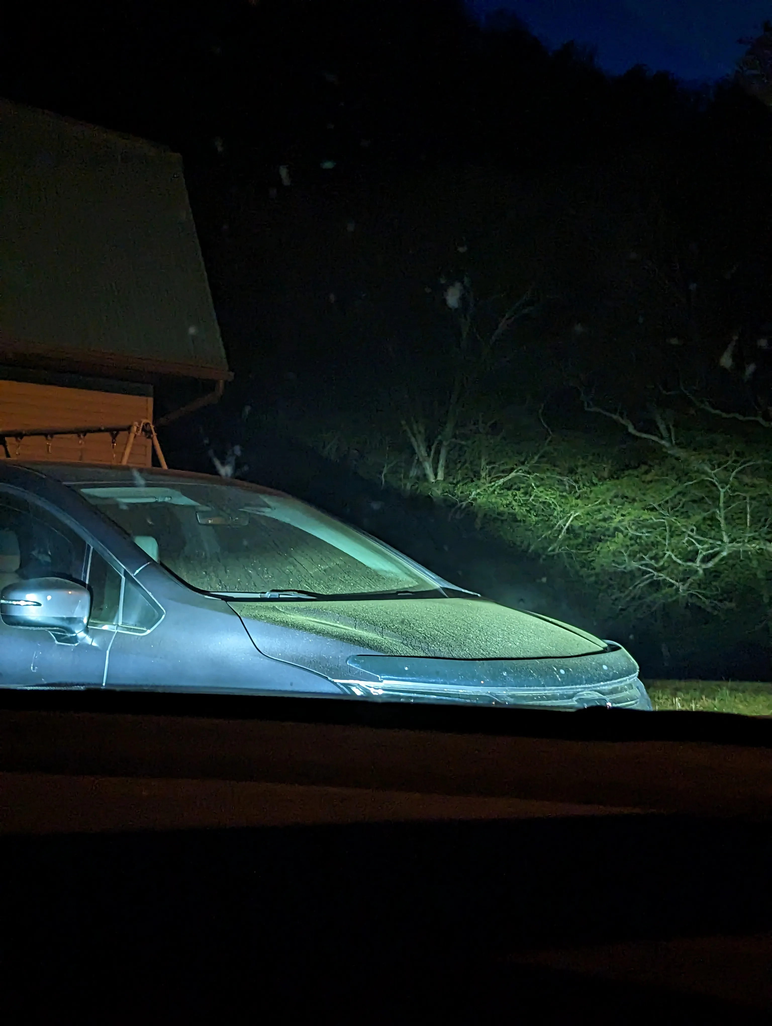 Hey Panda's, How Bad Is The Pollen Where You Live?