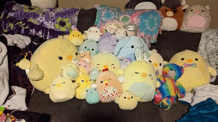 Here's My Chicken Collection! Chickens Are My Favorite Squishmallows So Easter Is Very Expensive. There's Some Others In There Too