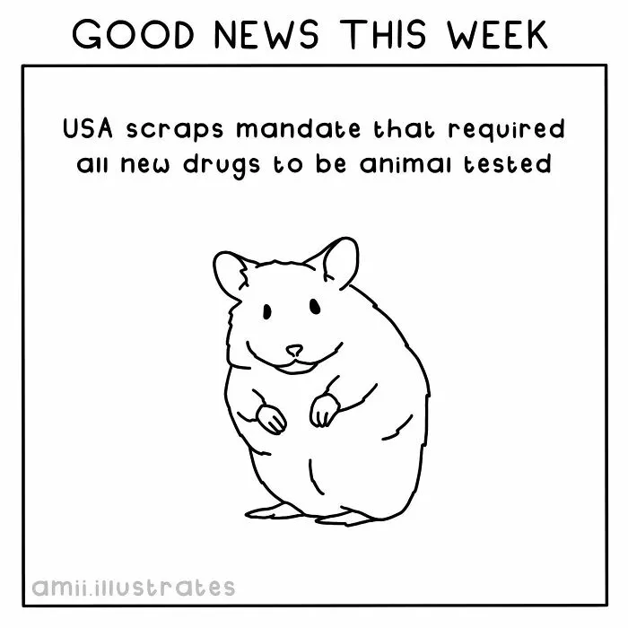 "Good News Of The Week": I Illustrate Good Things That Happened Recently (30 Pics)