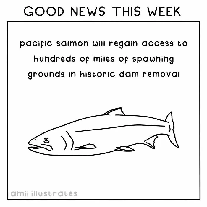 "Good News Of The Week": I Illustrate Good Things That Happened Recently (30 Pics)
