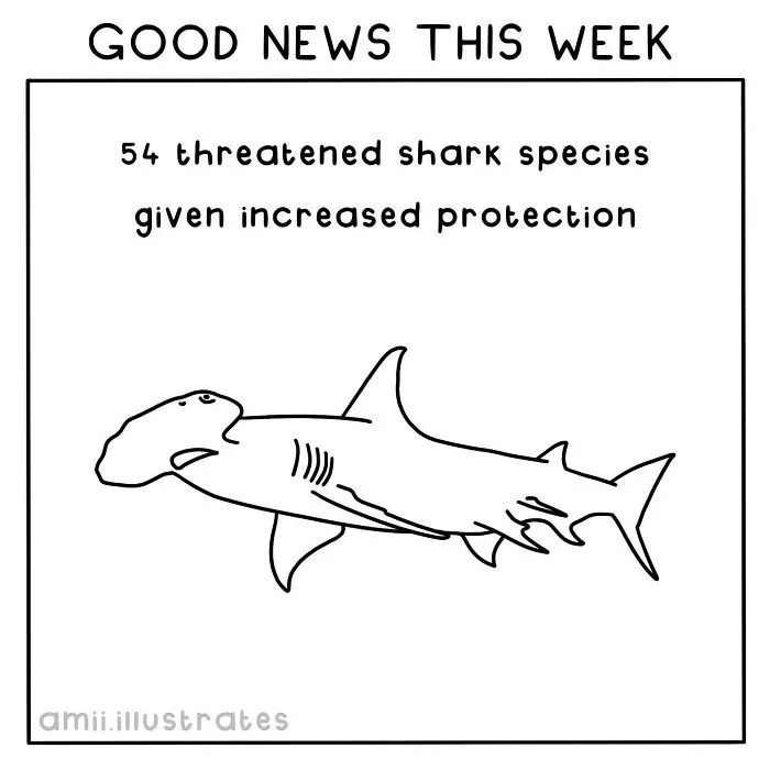 "Good News Of The Week": I Illustrate Good Things That Happened Recently (30 Pics)