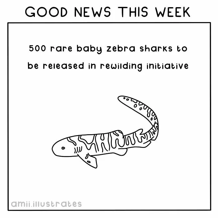 "Good News Of The Week": I Illustrate Good Things That Happened Recently (30 Pics)