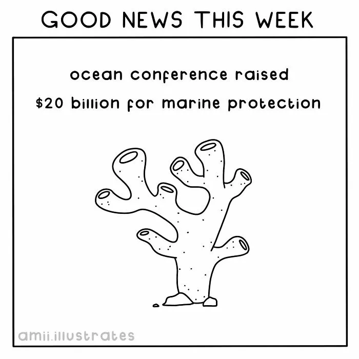 "Good News Of The Week": I Illustrate Good Things That Happened Recently (30 Pics)