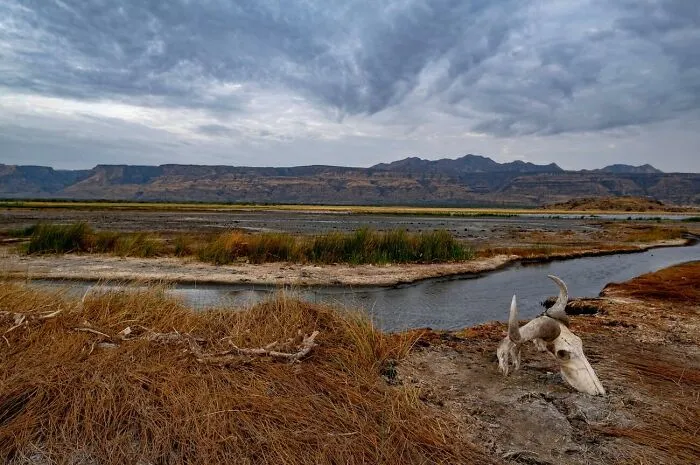 I Stayed 24 Hours By The Lake Of Dead In Tanzania And Captured Its Beauty As Well As Animals Turned To Stone (7 Pics)