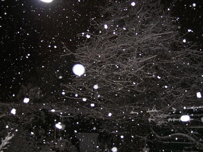 When Snow & Light Creates An Interdimensional Plane