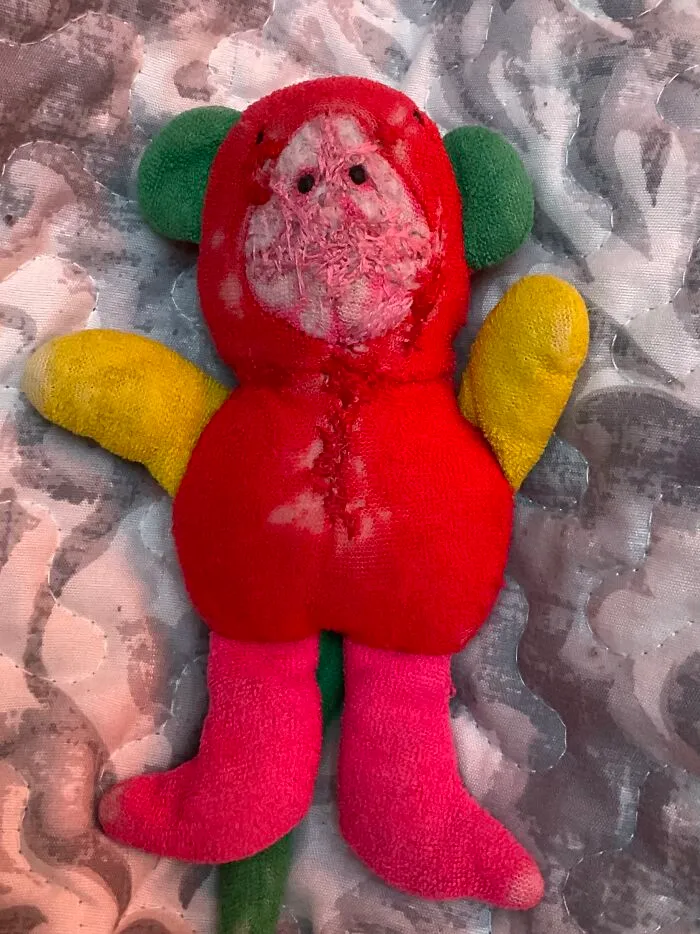 This Is Popeentje. He Is Very Loved And Had Been For A Lomg Time