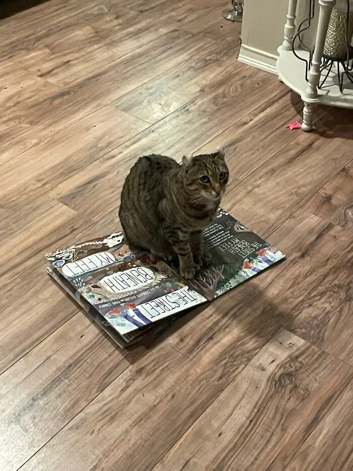 He Decided A Book Was A Suitable Chair