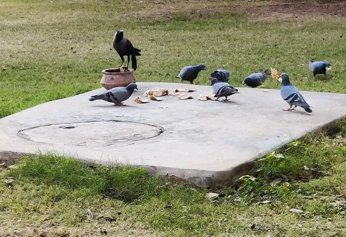Lunch Time