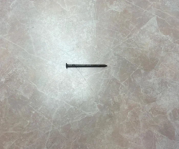 One Of Our Customers At Our Restaurant Came To Us With His Food And A Nail