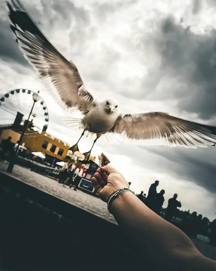 50 Geniales y entretenidas fotos urbanas compartidas en esta cuenta de Instagram