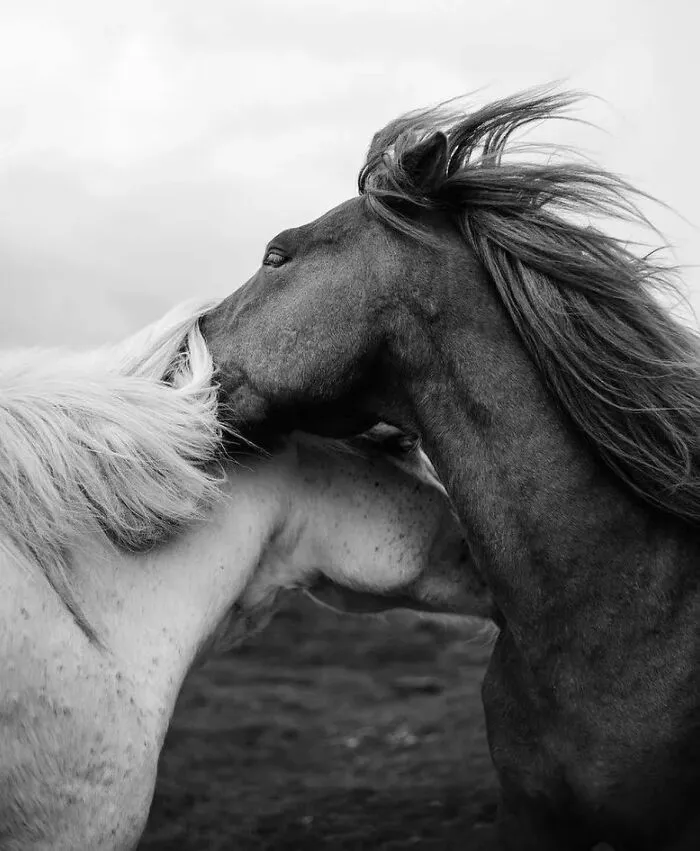 50 Geniales y entretenidas fotos urbanas compartidas en esta cuenta de Instagram