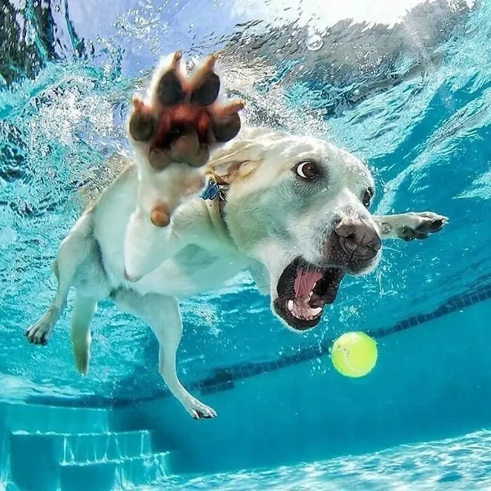 50 Geniales y entretenidas fotos urbanas compartidas en esta cuenta de Instagram