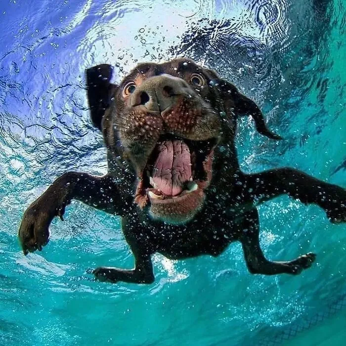 50 Geniales y entretenidas fotos urbanas compartidas en esta cuenta de Instagram