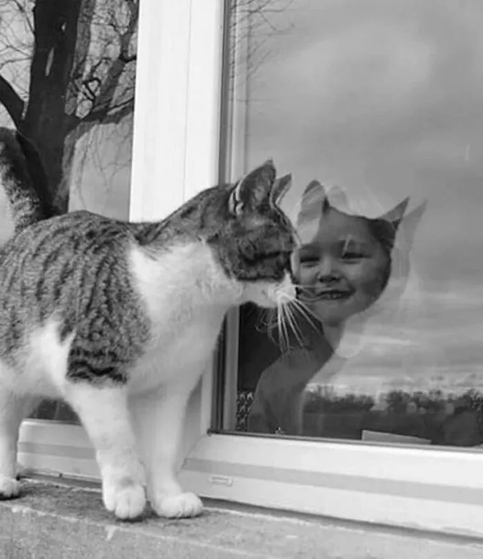 50 Geniales y entretenidas fotos urbanas compartidas en esta cuenta de Instagram