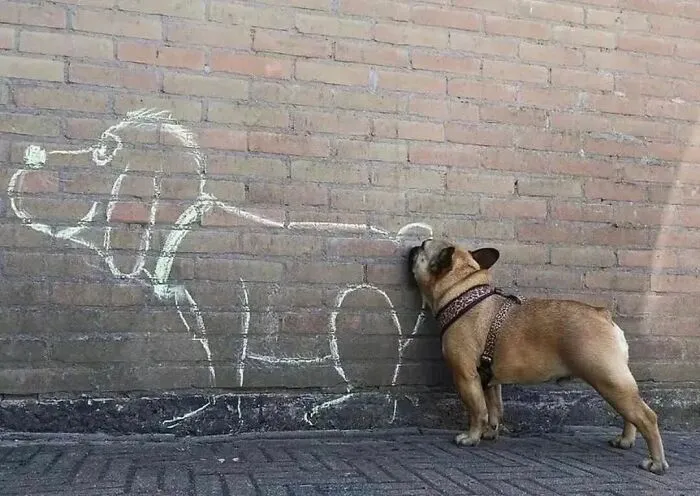 50 Geniales y entretenidas fotos urbanas compartidas en esta cuenta de Instagram