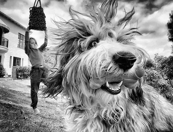 50 Geniales y entretenidas fotos urbanas compartidas en esta cuenta de Instagram