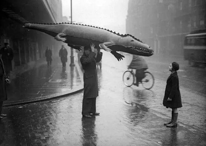 50 Geniales y entretenidas fotos urbanas compartidas en esta cuenta de Instagram