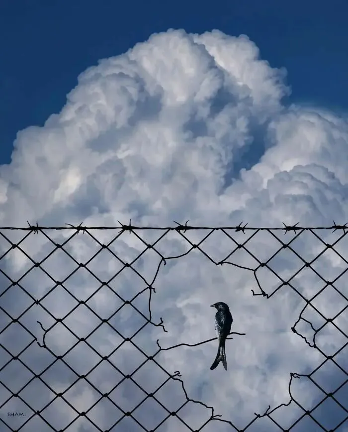 50 Geniales y entretenidas fotos urbanas compartidas en esta cuenta de Instagram