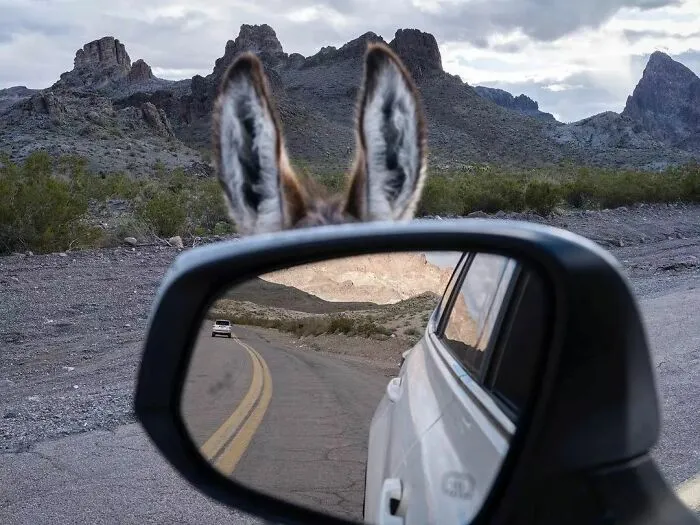 50 Geniales y entretenidas fotos urbanas compartidas en esta cuenta de Instagram