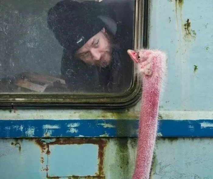 50 Geniales y entretenidas fotos urbanas compartidas en esta cuenta de Instagram