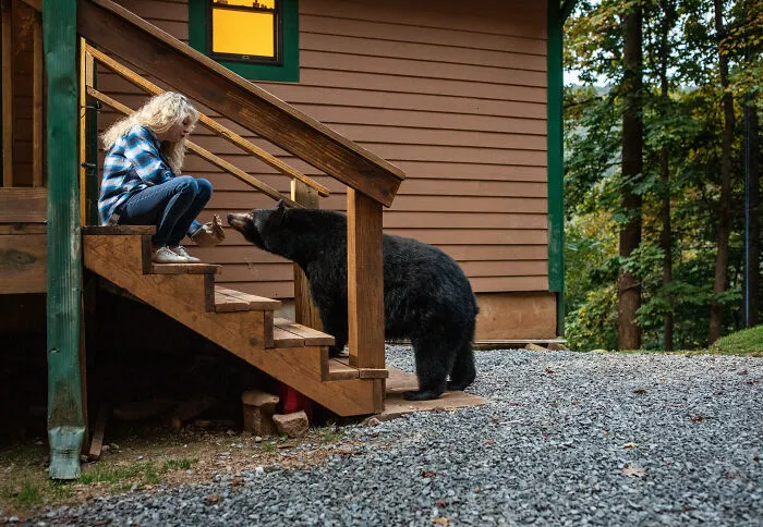 This Photographer Captured Wild Animals Strolling Through Residential Neighborhoods In The United States (27 Pics)