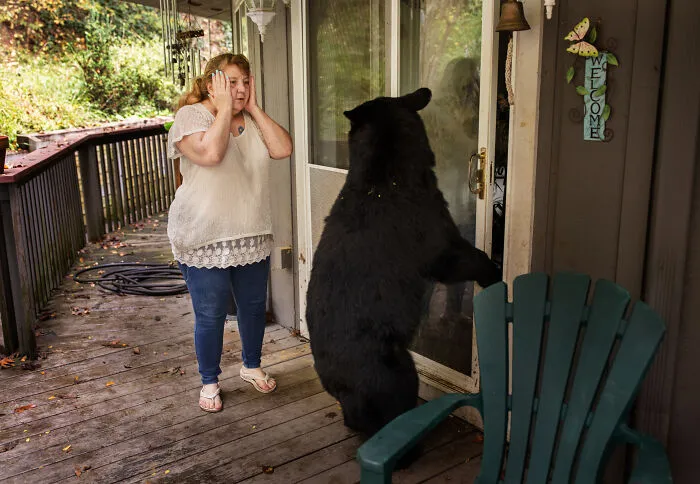 This Photographer Captured Wild Animals Strolling Through Residential Neighborhoods In The United States (27 Pics)