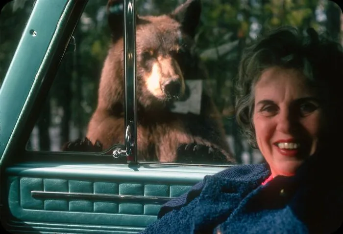 What's The Problem, Bill?  Yellowstone Park, Wyoming, 1967