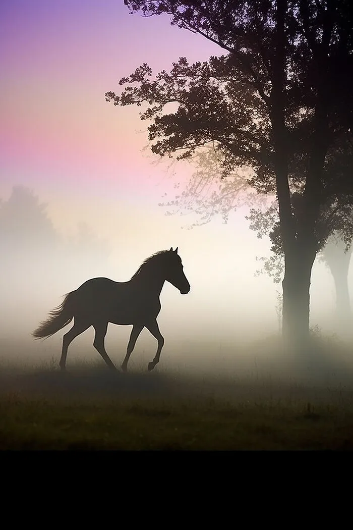 The Beauty Of Nature At Dawn: I Created 38 Images Using An AI Generator