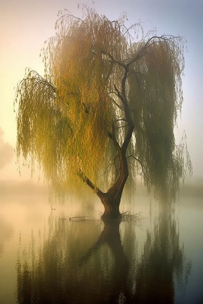 The Beauty Of Nature At Dawn: I Created 38 Images Using An AI Generator