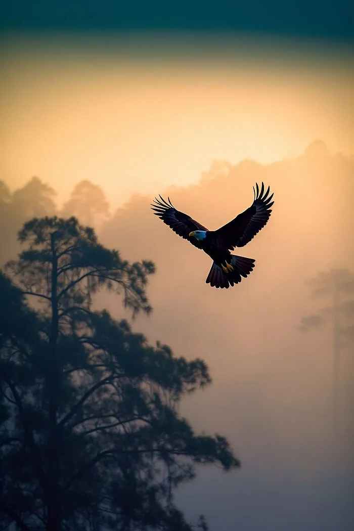 The Beauty Of Nature At Dawn: I Created 38 Images Using An AI Generator