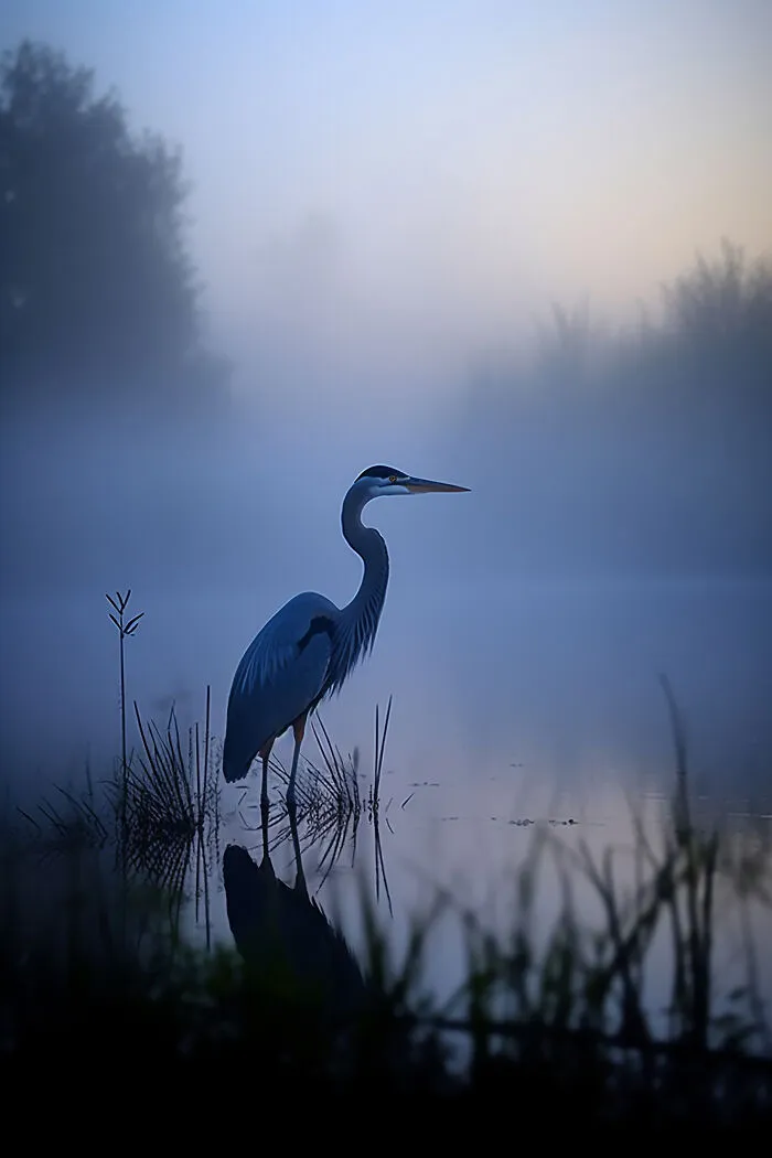 The Beauty Of Nature At Dawn: I Created 38 Images Using An AI Generator