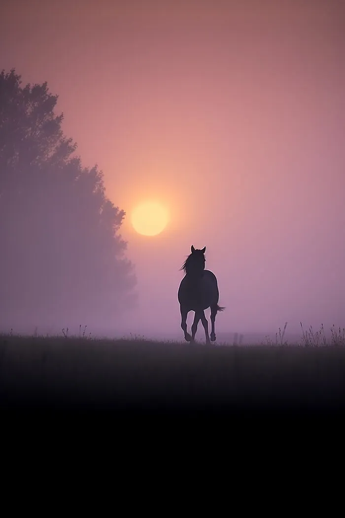 The Beauty Of Nature At Dawn: I Created 38 Images Using An AI Generator
