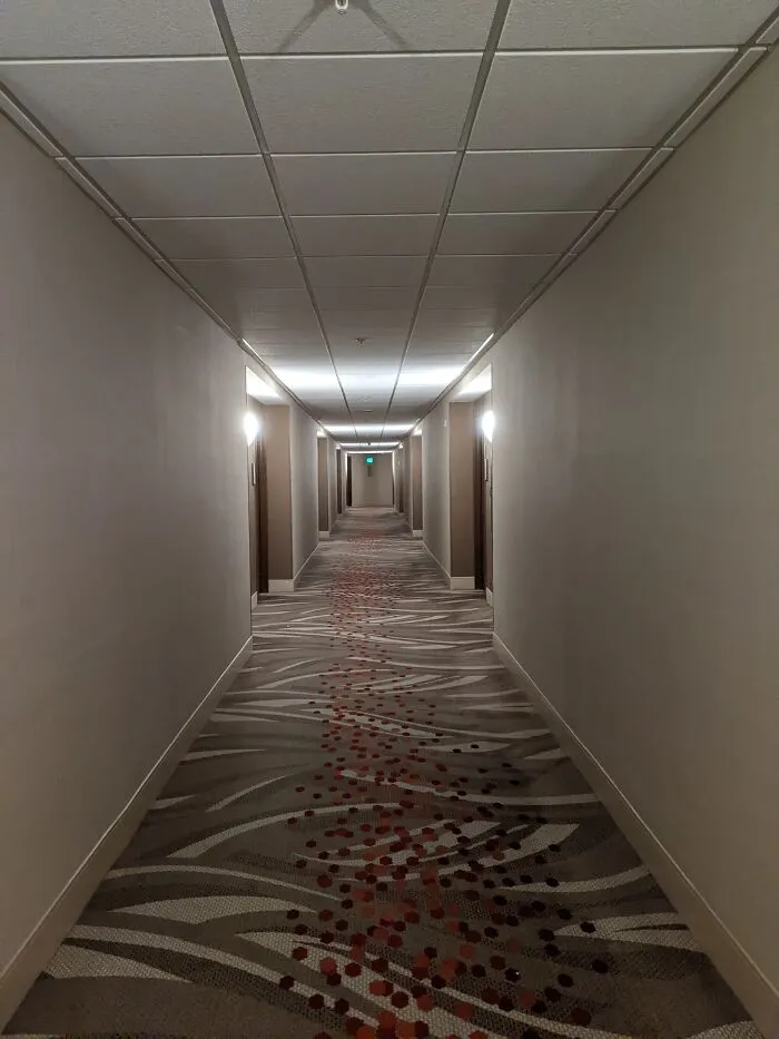 A Hotel In Orlando Florida