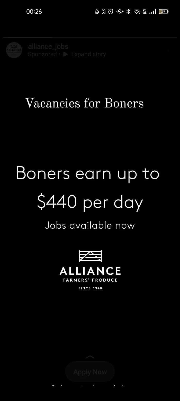 Bizarre Instagram Ad
