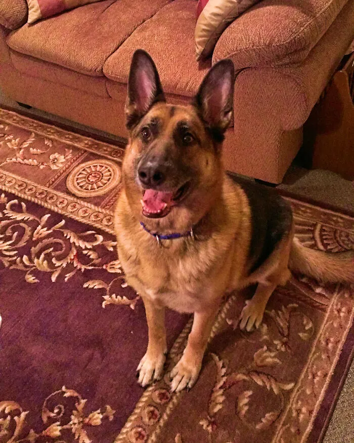 Miss You Buddy