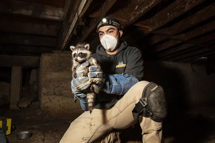 Wildlife & Nature, 1st Place: Cities Gone Wild By Corey Arnold
