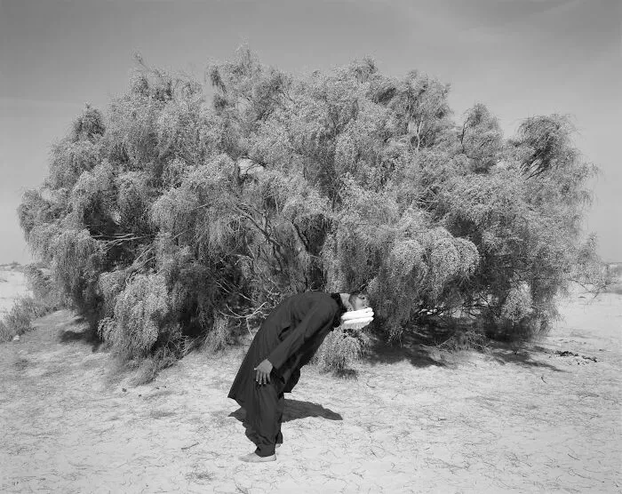 Photographer Of The Year: Our War By Edgar Martins
